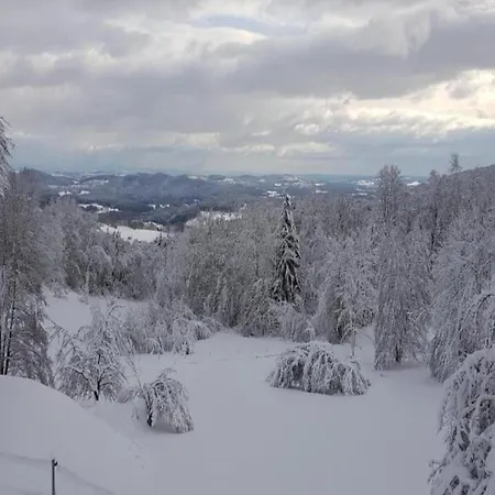 Lägenhet Im Bayerischen Wald Zenting