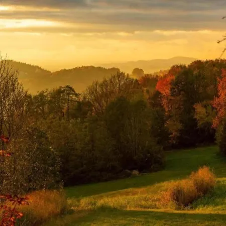 Im Bayerischen Wald Lägenhet *