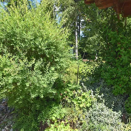 Lägenhet Im Bayerischen Wald *